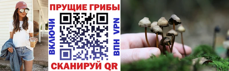 хочу наркоту  Калининград  mega   Псилоцибиновые грибы мухоморы 